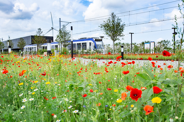 RandstadRail Lansingerland-Zoetermeer een uniek station met groen verblijfsdak